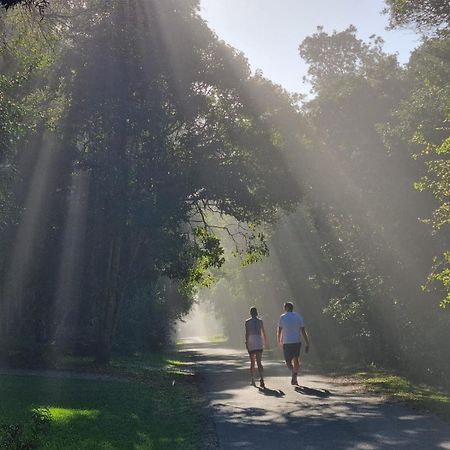 Nature'S Valley Health Retreat A Hide Away In The Forest エクステリア 写真