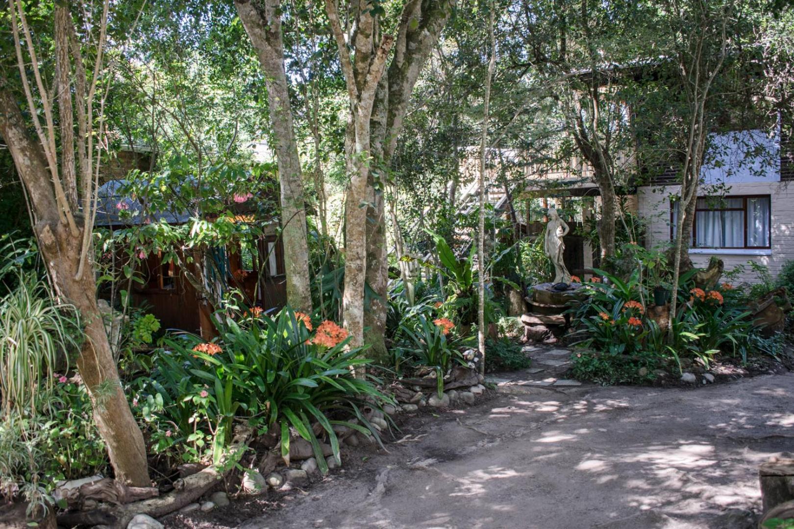 Nature'S Valley Health Retreat A Hide Away In The Forest エクステリア 写真