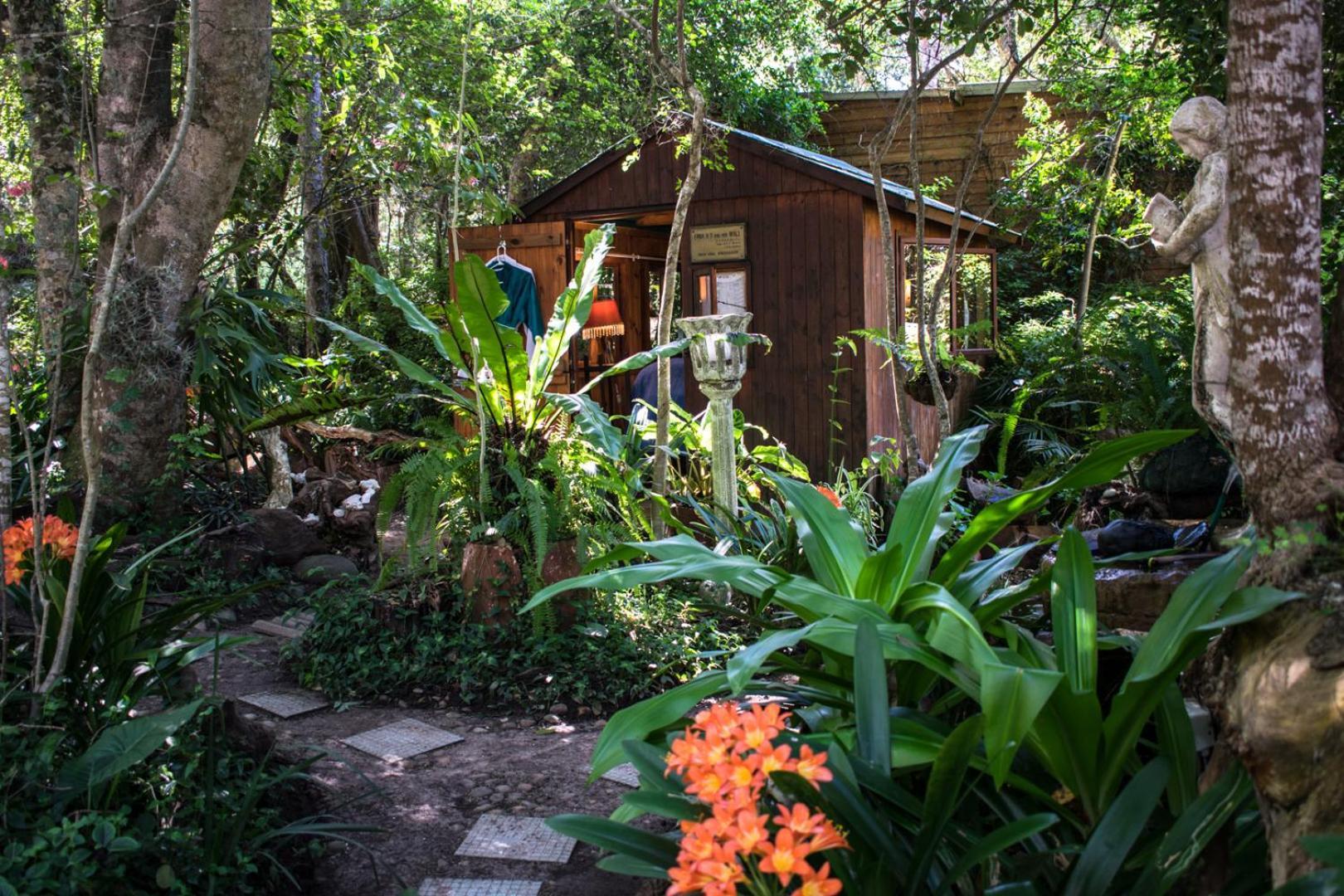 Nature'S Valley Health Retreat A Hide Away In The Forest エクステリア 写真