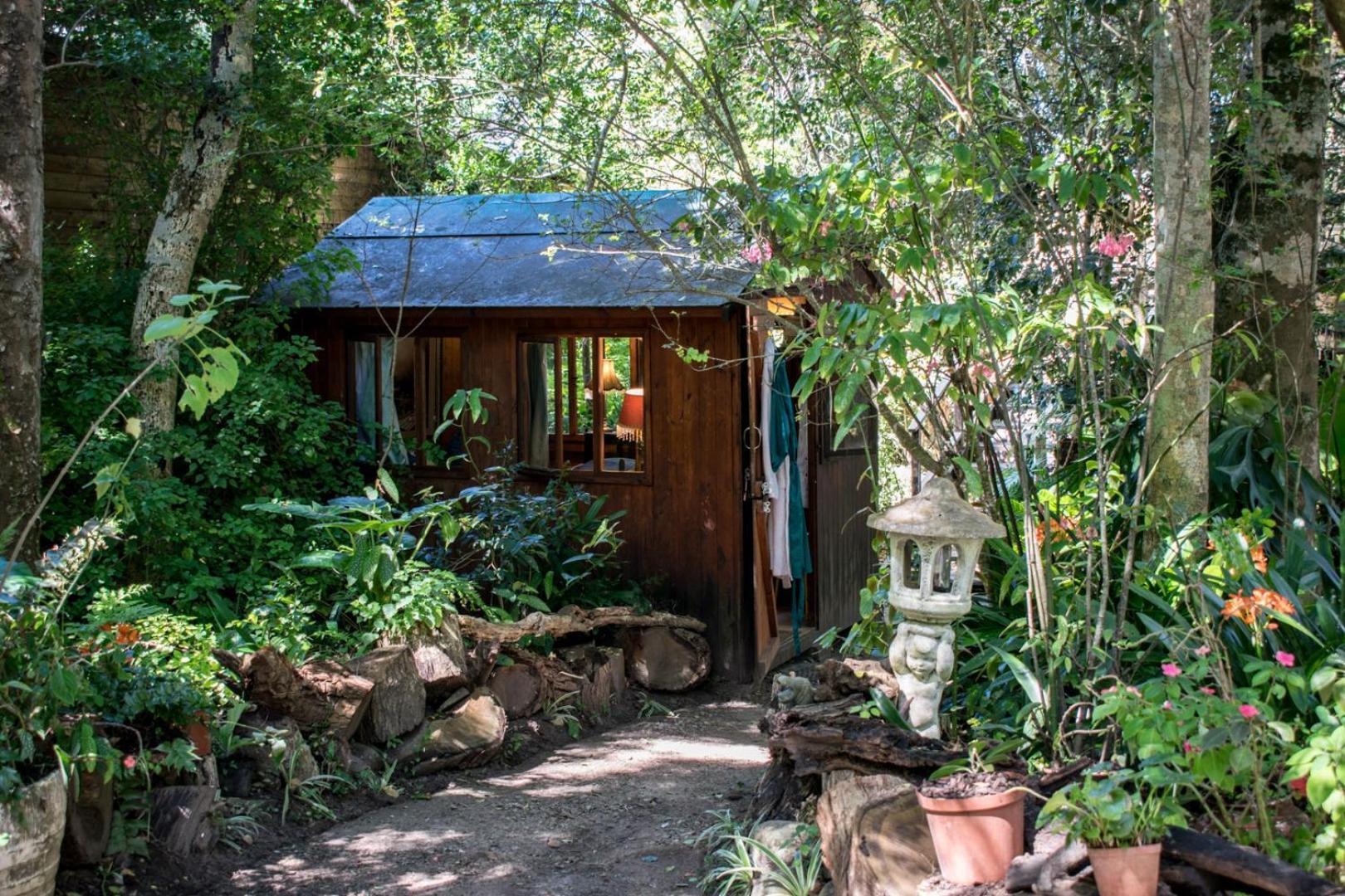 Nature'S Valley Health Retreat A Hide Away In The Forest エクステリア 写真
