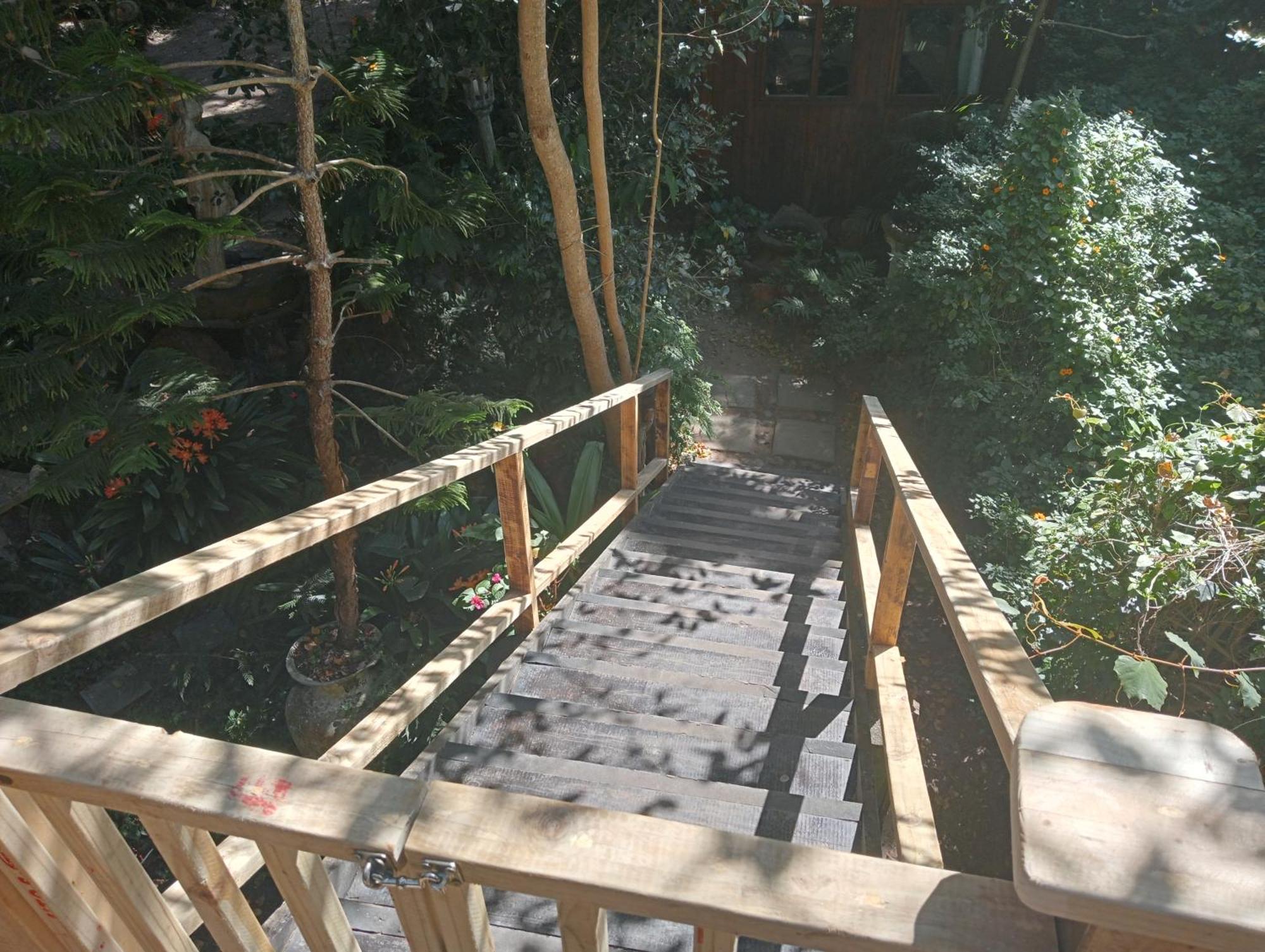 Nature'S Valley Health Retreat A Hide Away In The Forest エクステリア 写真