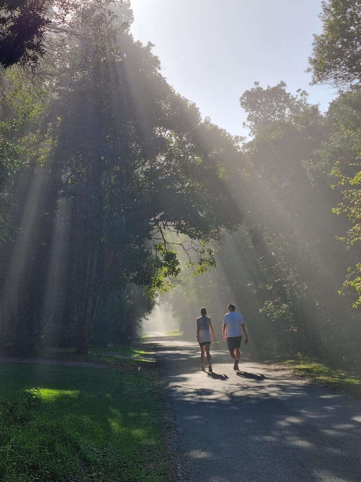 Nature'S Valley Health Retreat A Hide Away In The Forest エクステリア 写真
