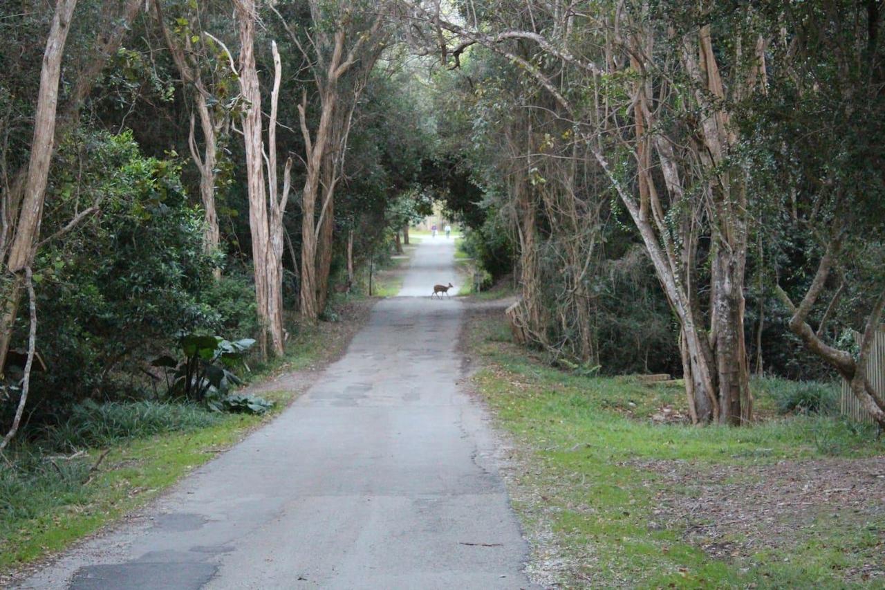 Nature'S Valley Health Retreat A Hide Away In The Forest エクステリア 写真