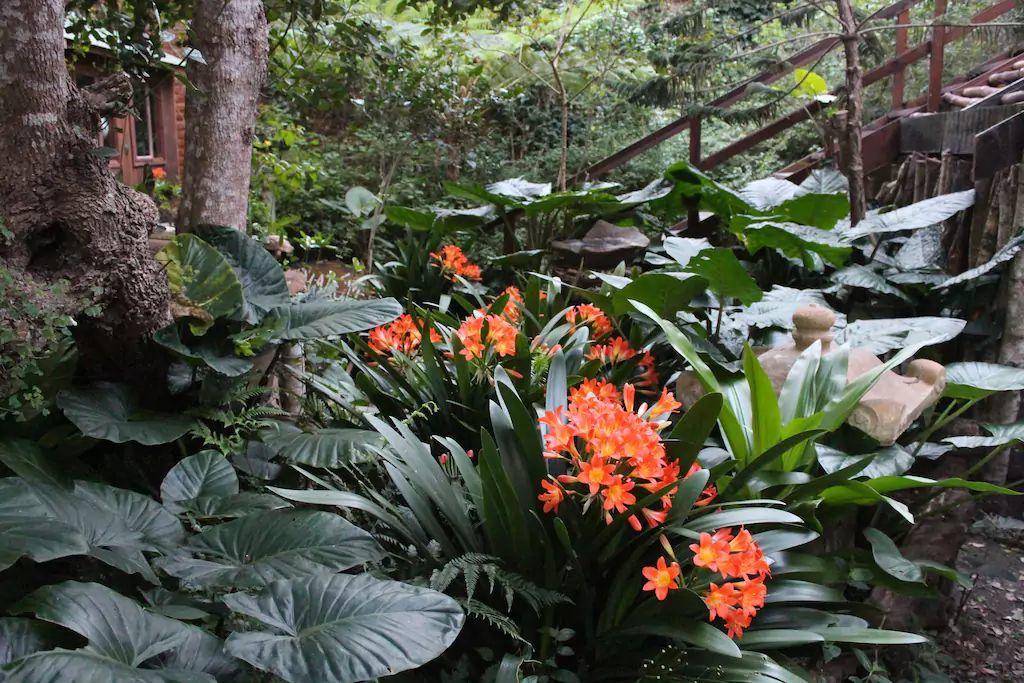 Nature'S Valley Health Retreat A Hide Away In The Forest エクステリア 写真