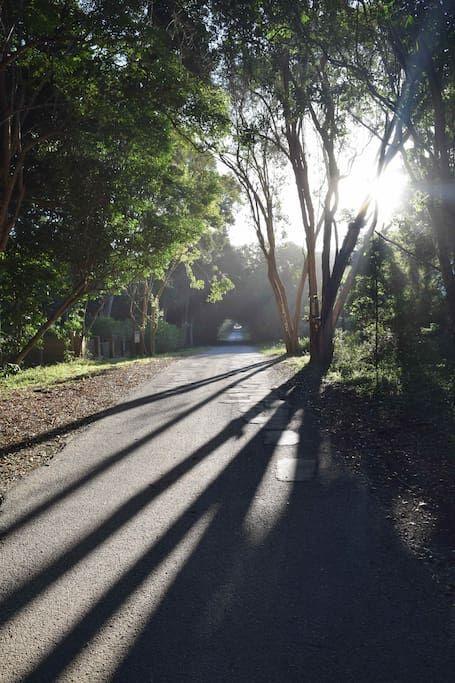 Nature'S Valley Health Retreat A Hide Away In The Forest エクステリア 写真